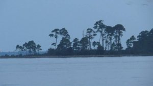 Rocky Bayou tree line with blue skies